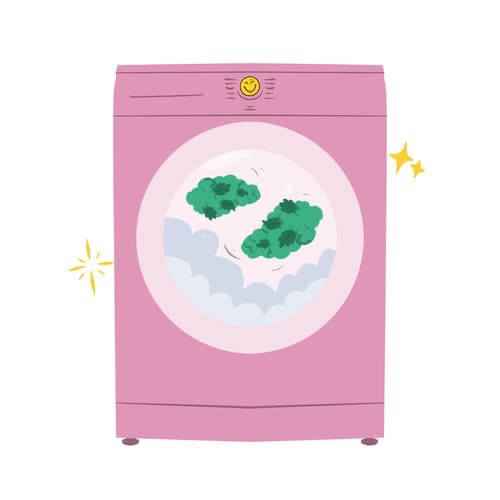 Washers | Collections